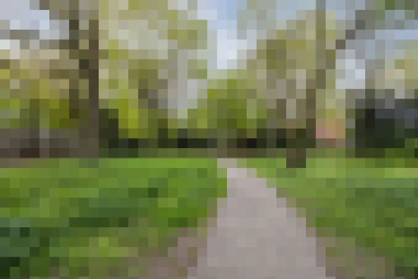 Professor Cobbenhagenlaan 88 Tilburg thumbnail 53