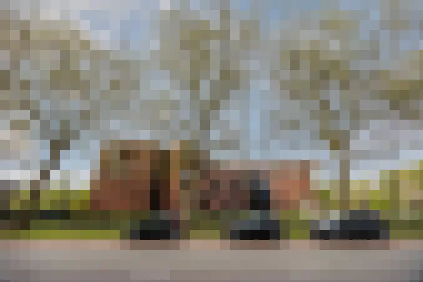 Professor Cobbenhagenlaan 88 Tilburg thumbnail 55