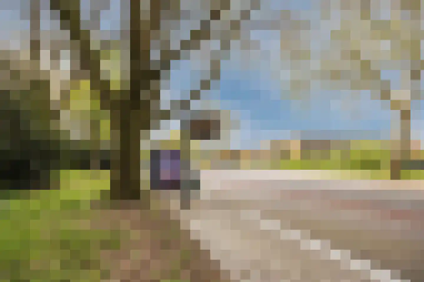 Professor Cobbenhagenlaan 88 Tilburg thumbnail 57
