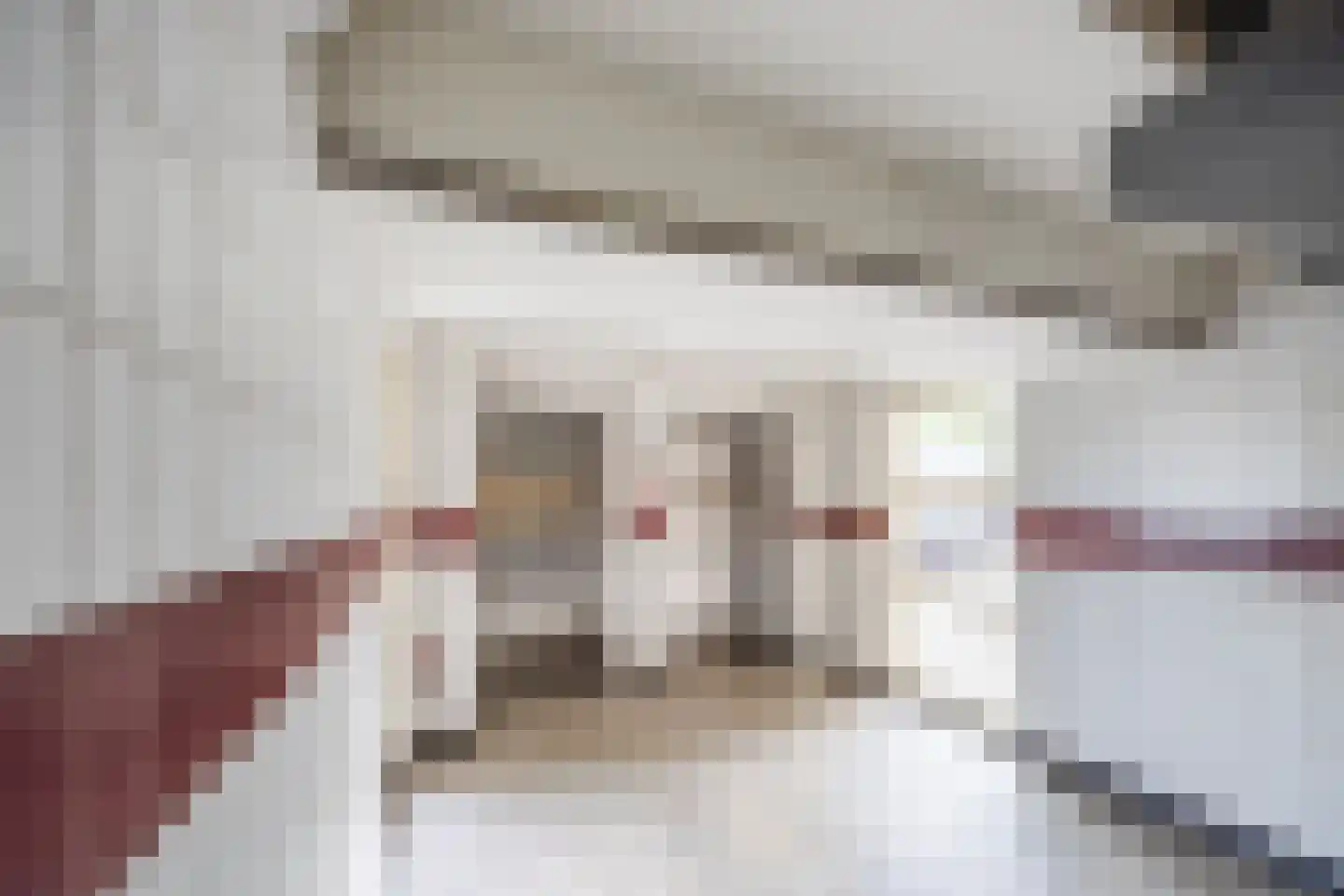 Professor Cobbenhagenlaan 88 Tilburg thumbnail 67