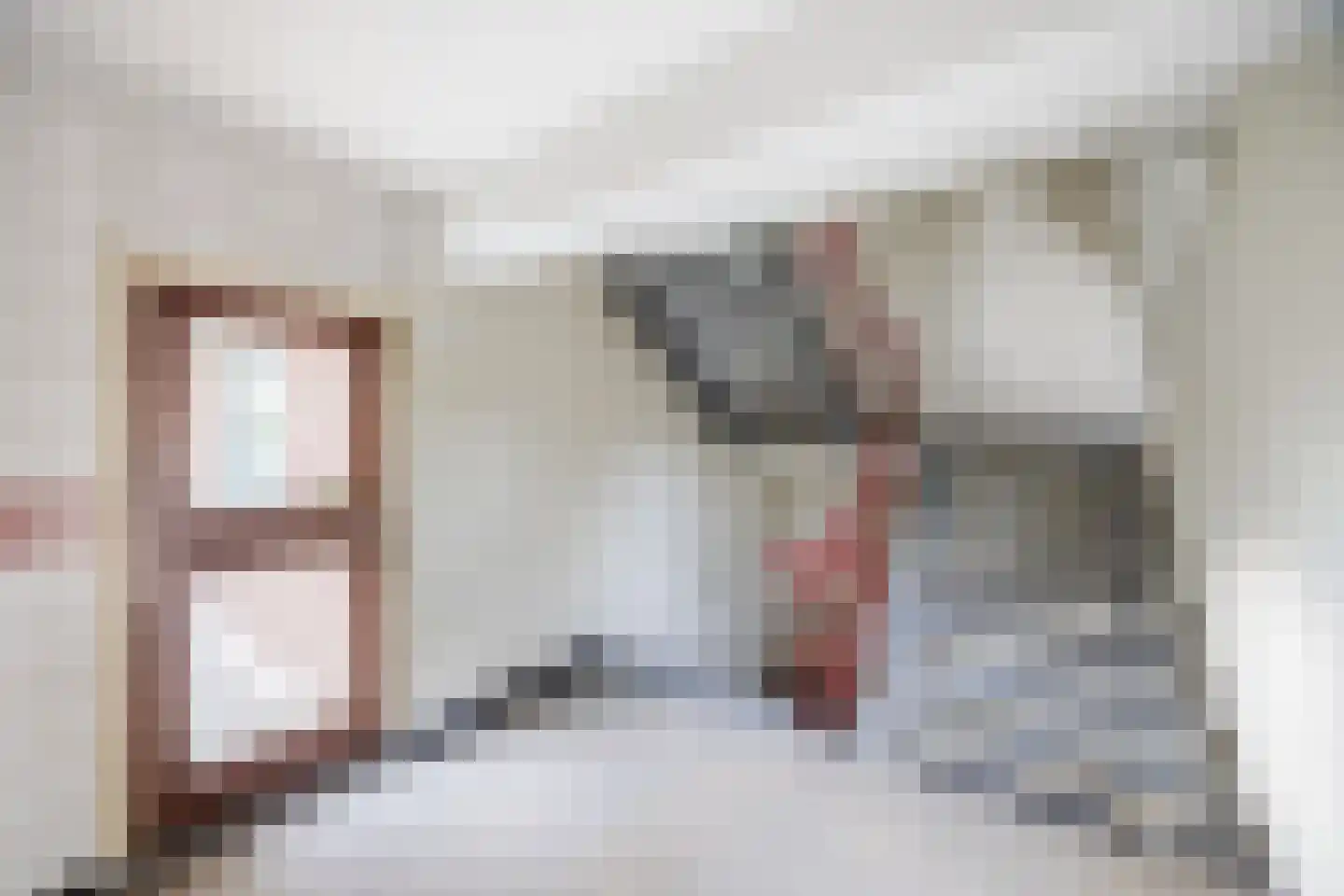 Professor Cobbenhagenlaan 88 Tilburg thumbnail 69