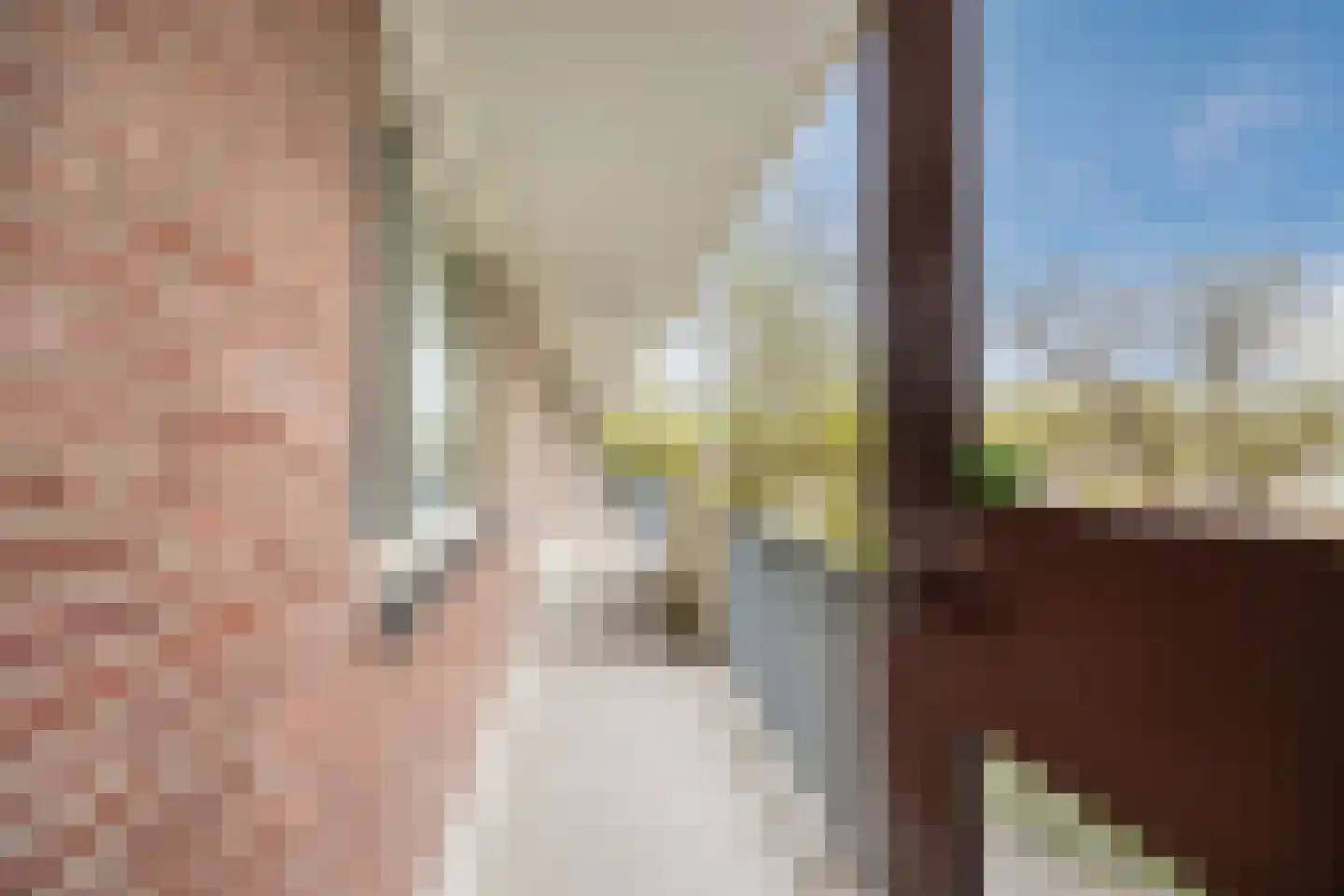 Professor Cobbenhagenlaan 88 Tilburg thumbnail 70