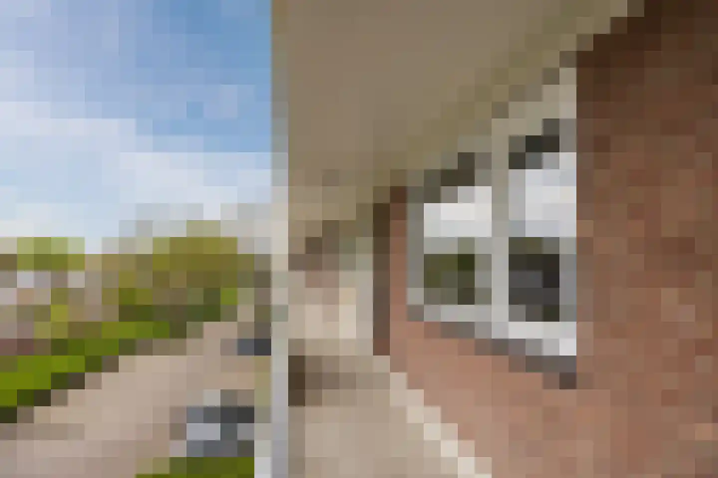 Professor Cobbenhagenlaan 88 Tilburg thumbnail 76