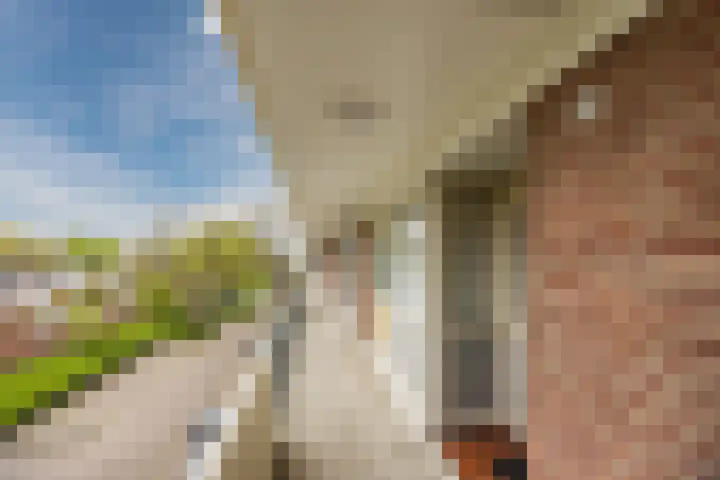 Professor Cobbenhagenlaan 88 Tilburg thumbnail 78