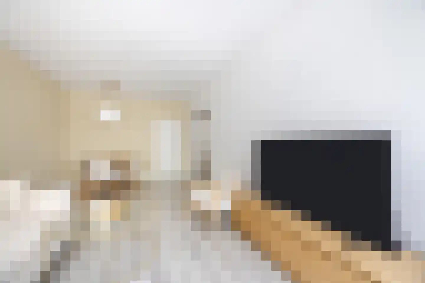 Professor Cobbenhagenlaan 88 Tilburg thumbnail 8