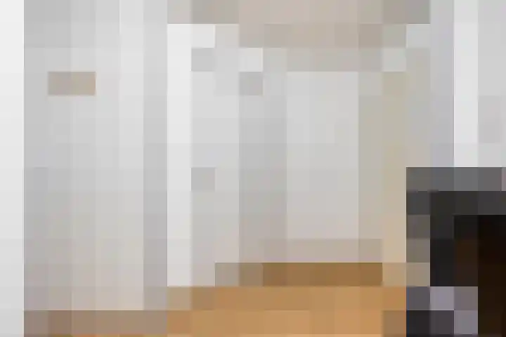 Professor Cobbenhagenlaan 98 Tilburg thumbnail 11