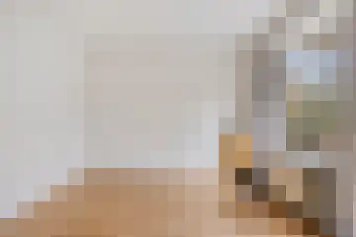 Professor Cobbenhagenlaan 98 Tilburg thumbnail 17