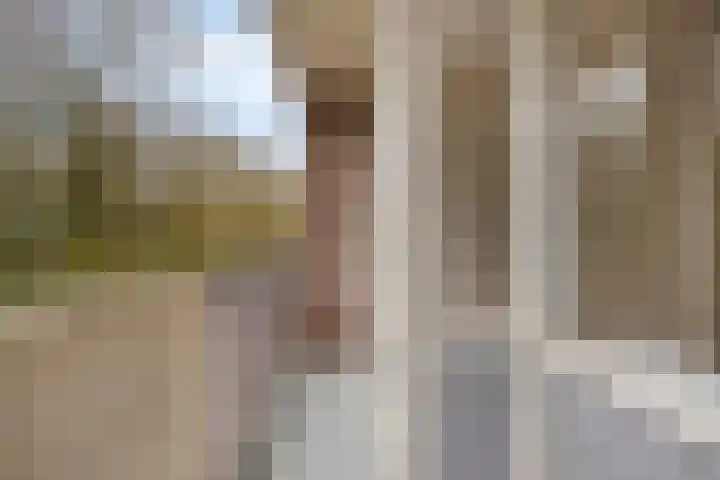 Professor Cobbenhagenlaan 98 Tilburg thumbnail 18