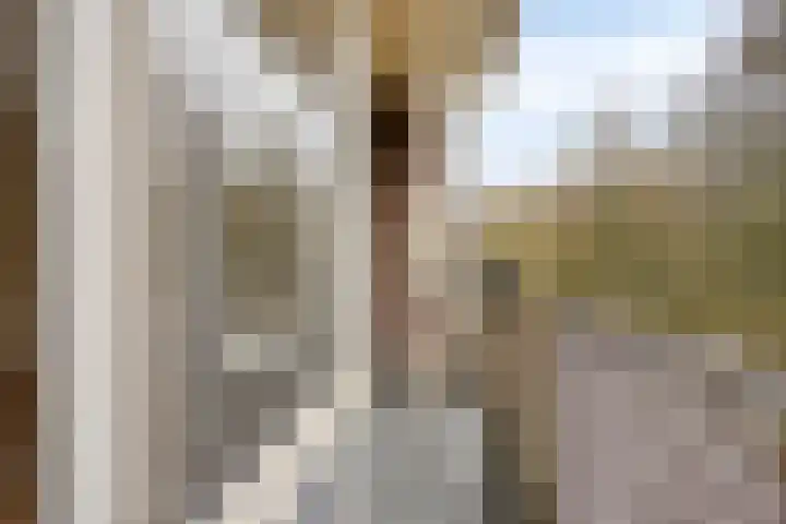 Professor Cobbenhagenlaan 98 Tilburg thumbnail 19