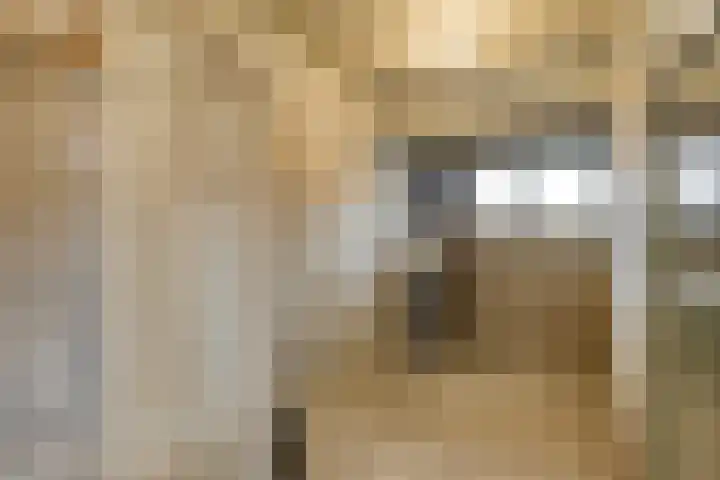 Professor Cobbenhagenlaan 98 Tilburg thumbnail 20