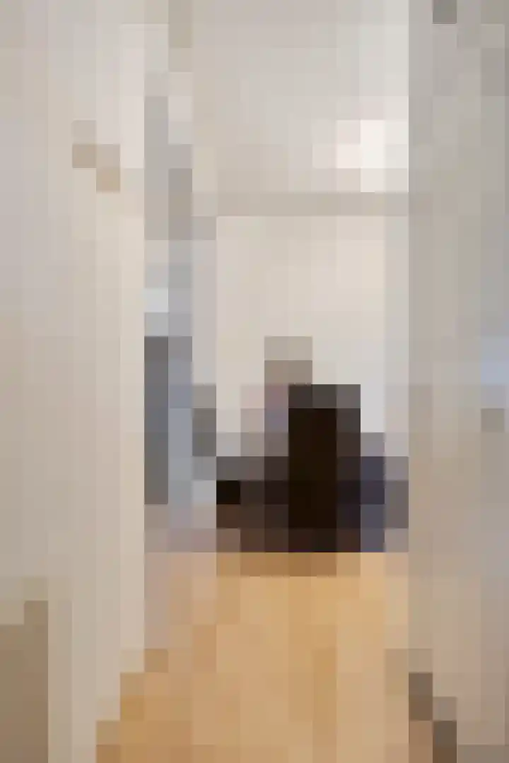 Professor Cobbenhagenlaan 98 Tilburg thumbnail 6