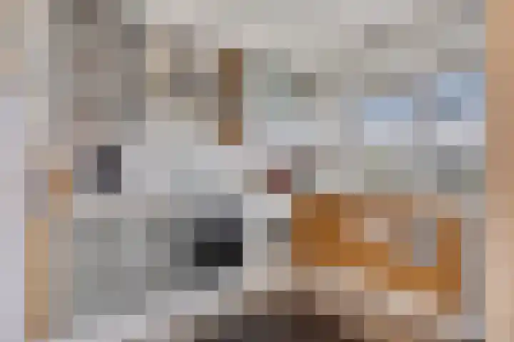 Professor Cobbenhagenlaan 98 Tilburg thumbnail 9