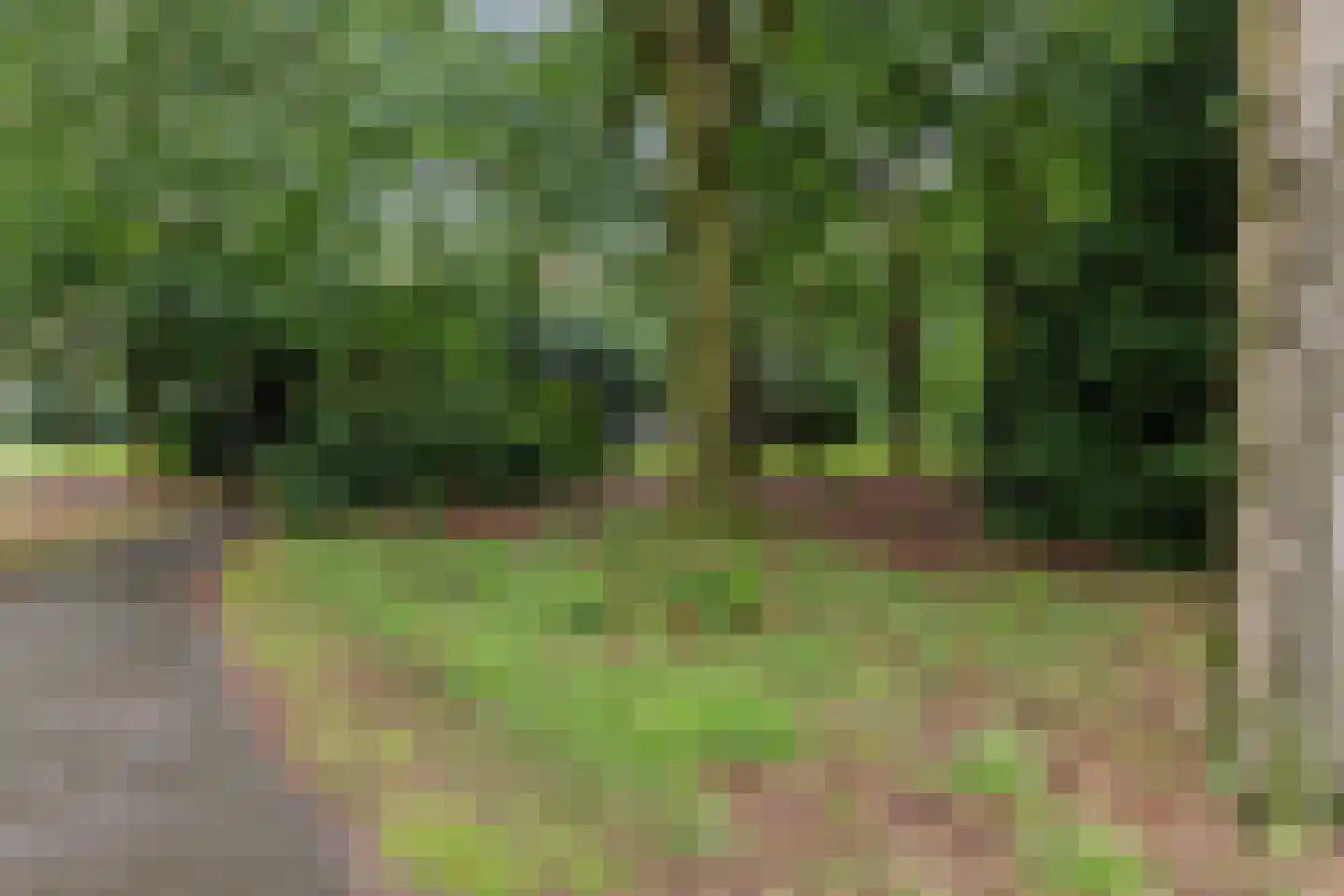 Professor de Moorplein 538 Tilburg thumbnail 51