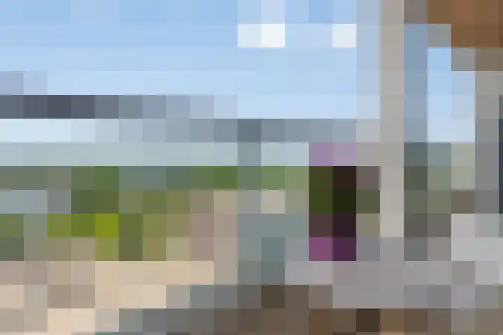 Professor de Moorplein 551 Tilburg thumbnail 20