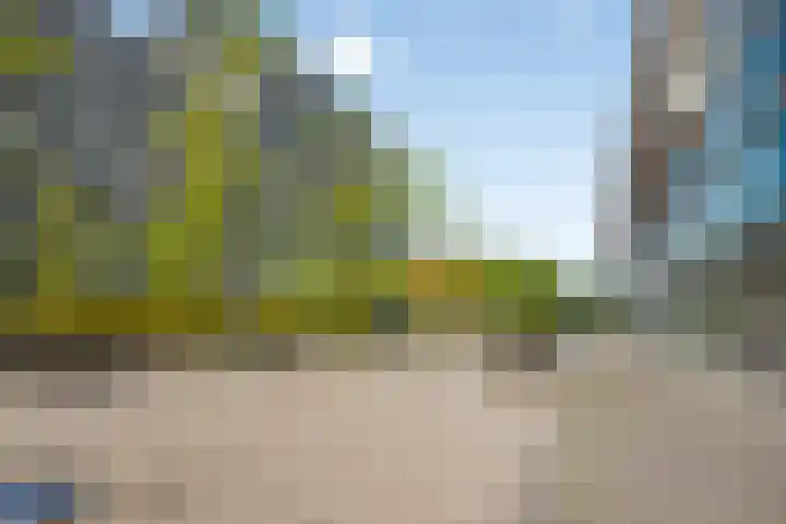 Professor de Moorplein 551 Tilburg thumbnail 33