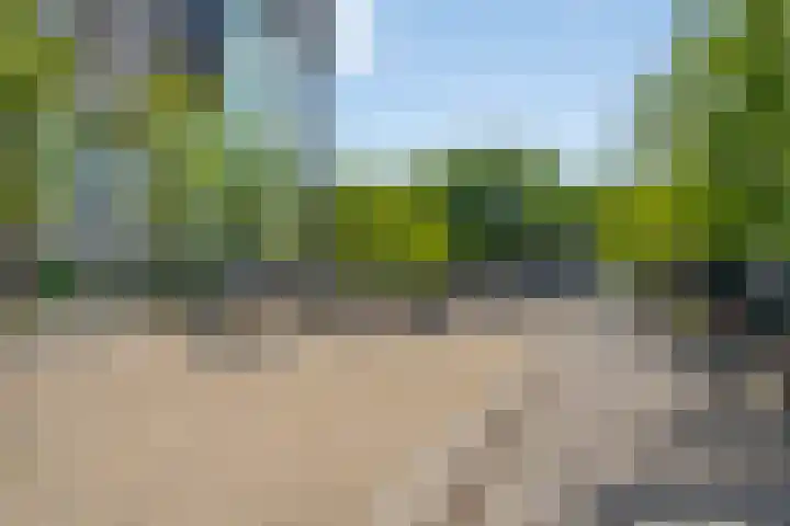 Professor de Moorplein 551 Tilburg thumbnail 34