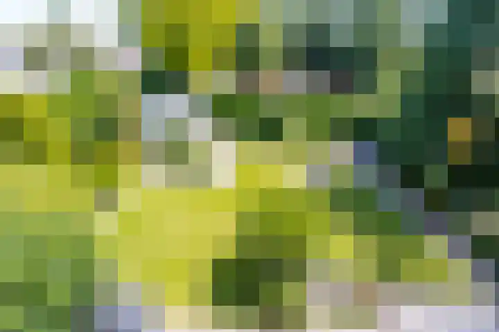 Professor de Quayplein 8 Almkerk thumbnail 31