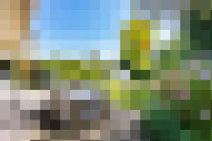 Professor de Quayplein 8 Almkerk thumbnail 52