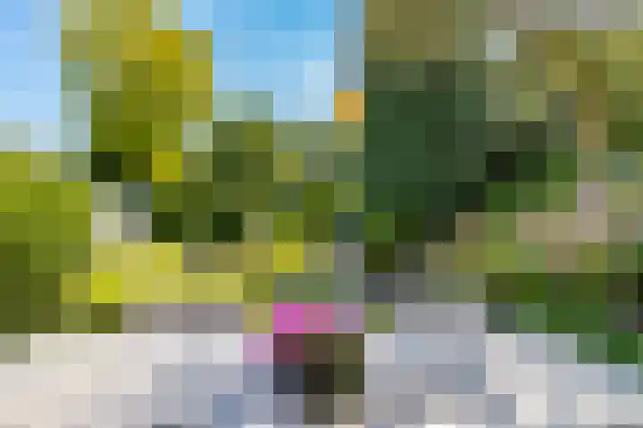 Professor de Quayplein 8 Almkerk thumbnail 53