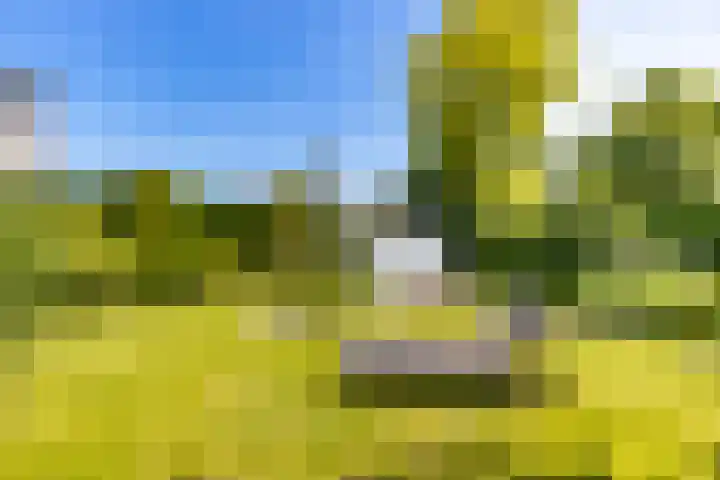 Professor de Quayplein 8 Almkerk thumbnail 56