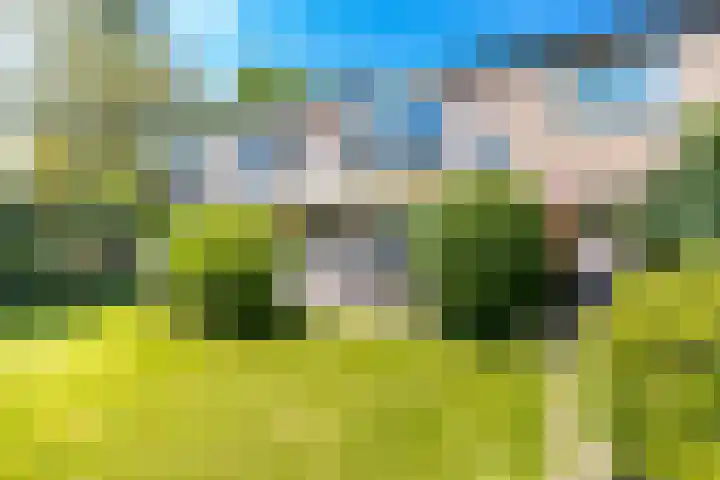 Professor de Quayplein 8 Almkerk thumbnail 60