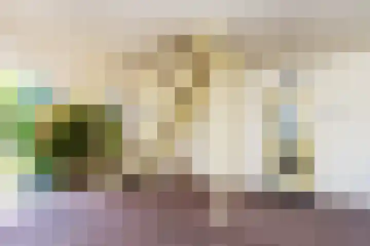 Professor de Quayplein 8 Almkerk thumbnail 62
