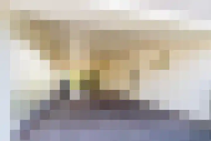 Professor de Quayplein 8 Almkerk thumbnail 63