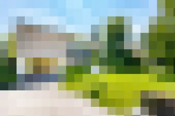 Professor de Quayplein 8 Almkerk thumbnail 64