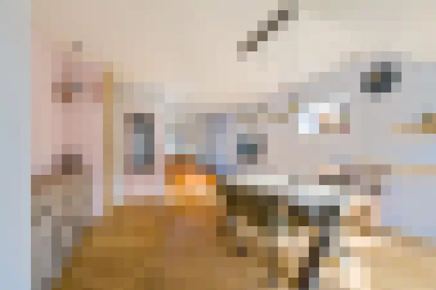 Professor Dondersstraat 12 Hilversum thumbnail 25
