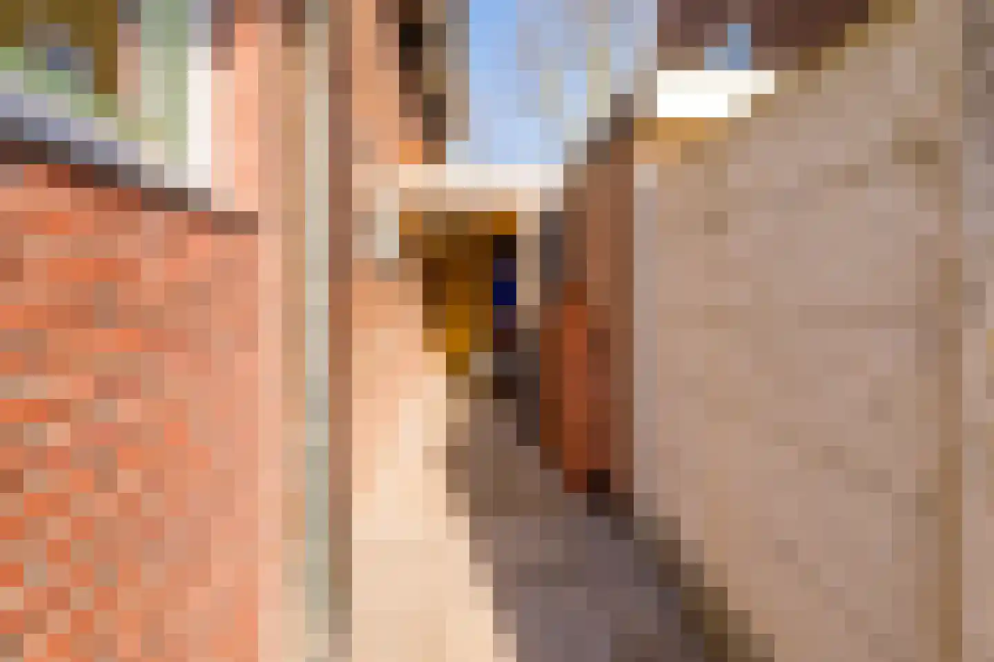 Professor Dondersstraat 12 Hilversum thumbnail 43