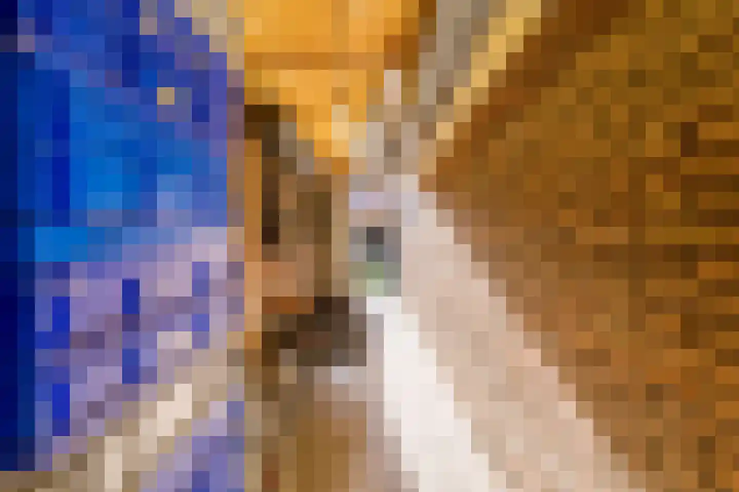 Professor Dondersstraat 12 Hilversum thumbnail 45