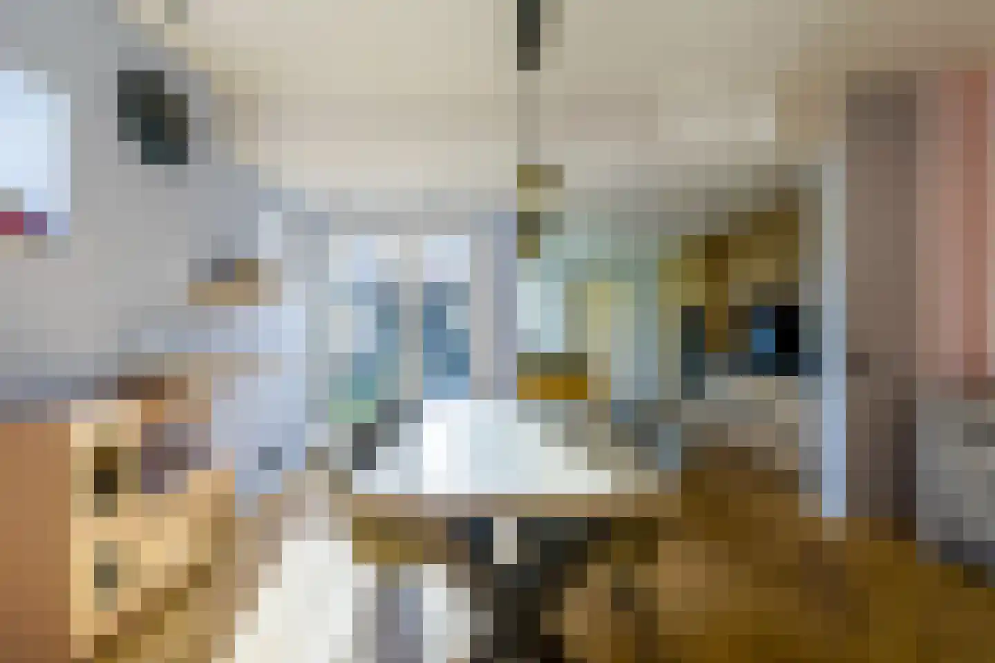 Professor Dondersstraat 12 Hilversum thumbnail 7