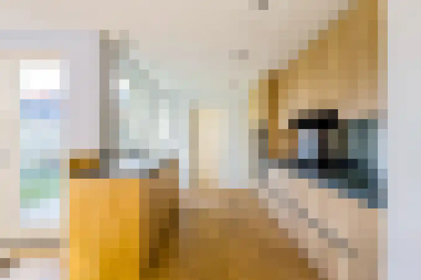 Professor Dondersstraat 12 Hilversum thumbnail 8