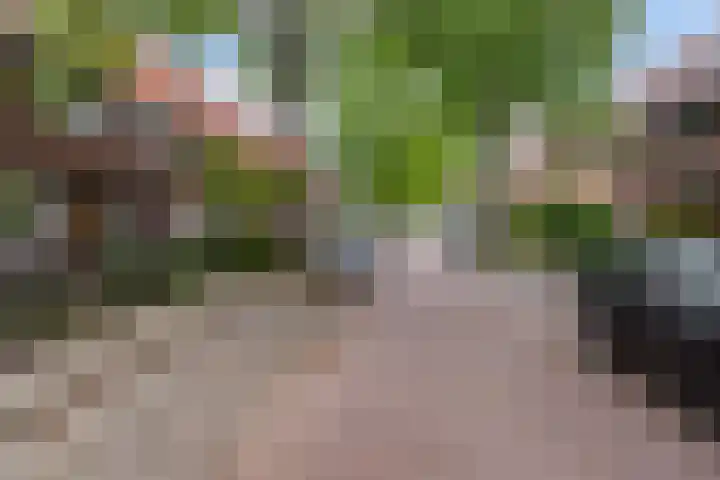 Professor Dondersstraat 24 Hilversum thumbnail 17