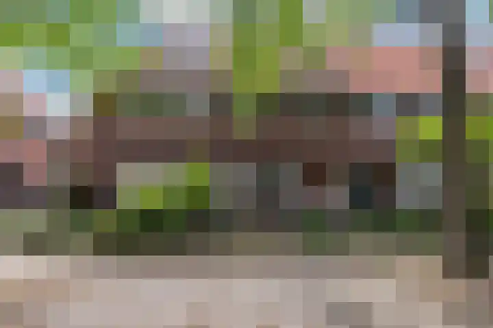 Professor Dondersstraat 24 Hilversum thumbnail 25