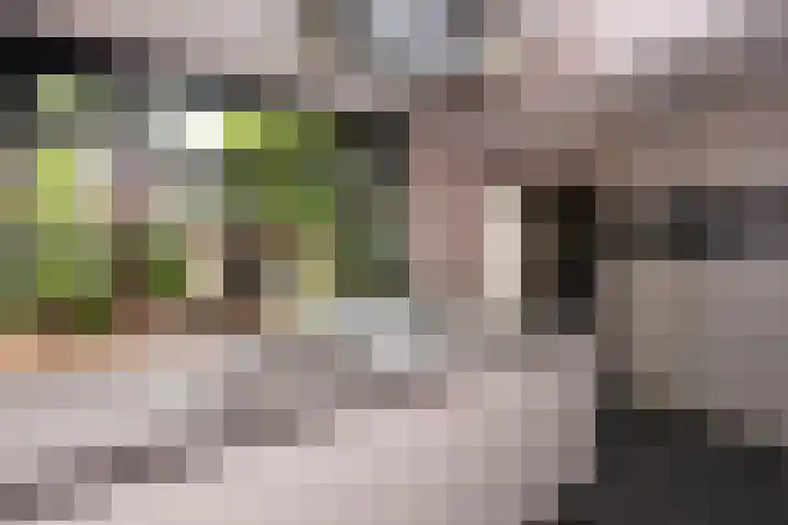 Professor Dondersstraat 7 Tilburg thumbnail 18