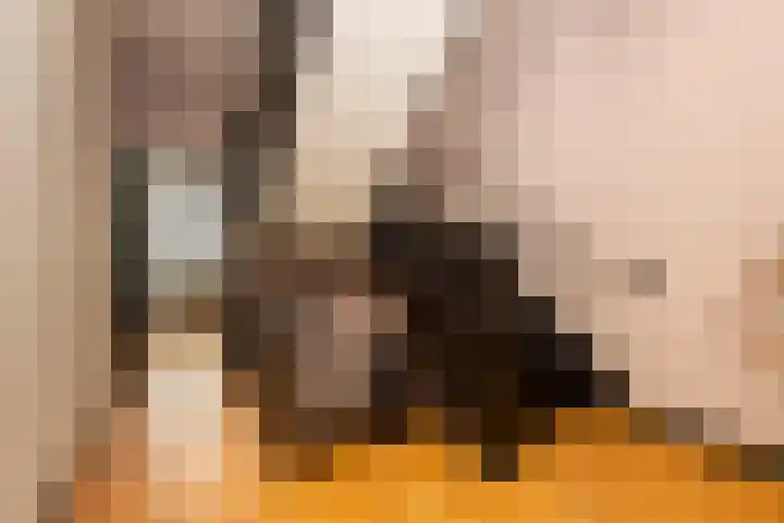 Professor Dondersstraat 7 Tilburg thumbnail 22