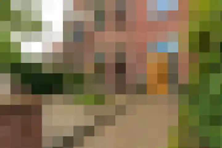 Professor Dondersstraat 7 Tilburg thumbnail 4