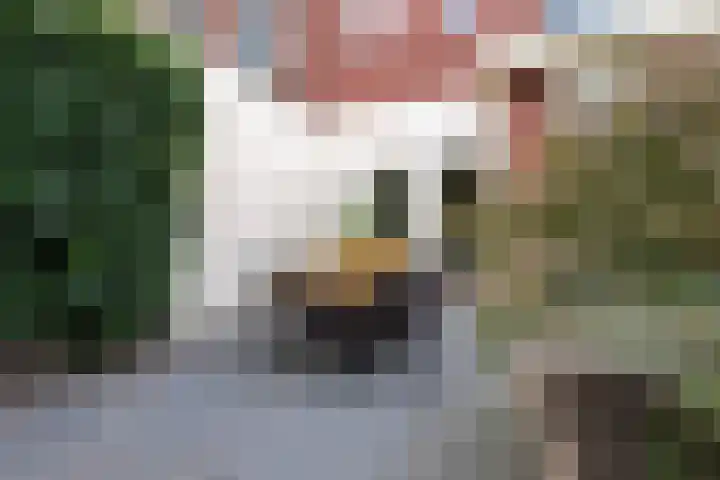 Professor Dondersstraat 7 Tilburg thumbnail 42