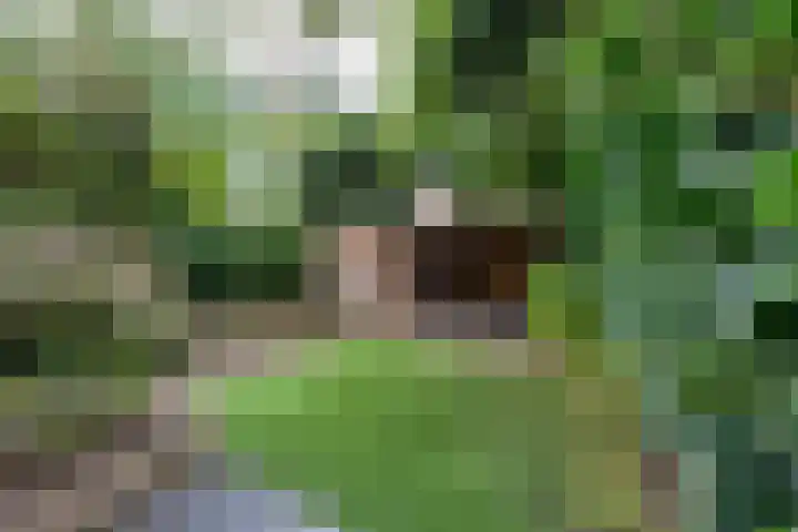 Professor Dondersstraat 7 Tilburg thumbnail 47