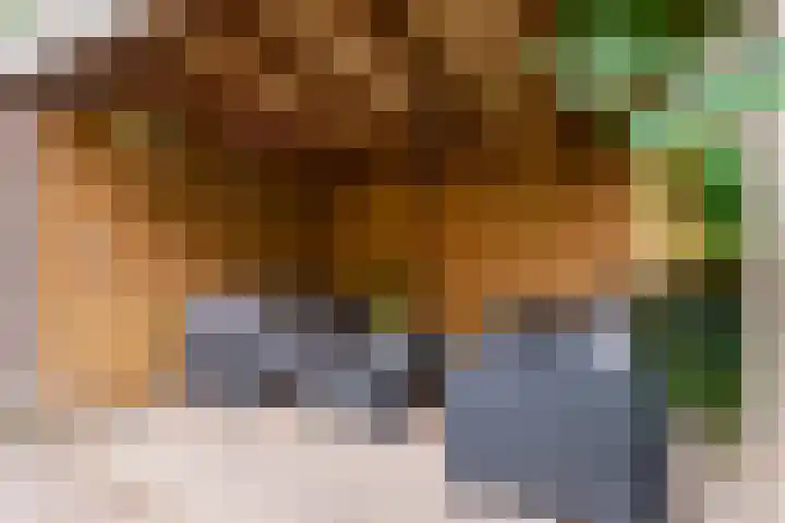 Professor Dondersstraat 7 Tilburg thumbnail 48