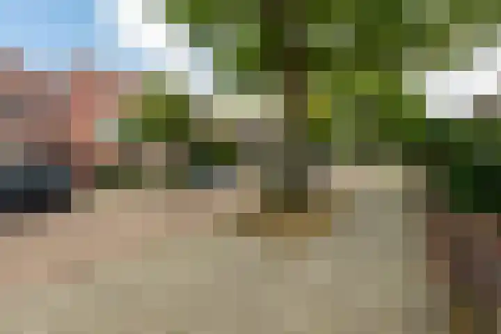 Professor Dondersstraat 7 Tilburg thumbnail 50