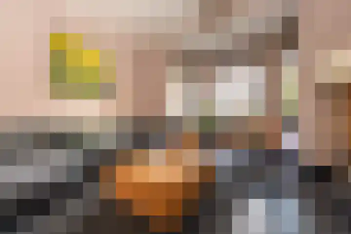 Professor Dondersstraat 7 Tilburg thumbnail 8