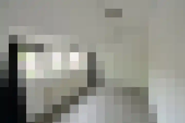 Professor Dondersstraat 9 Hilversum thumbnail 12