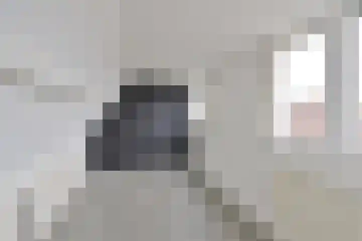 Professor Dondersstraat 9 Hilversum thumbnail 13