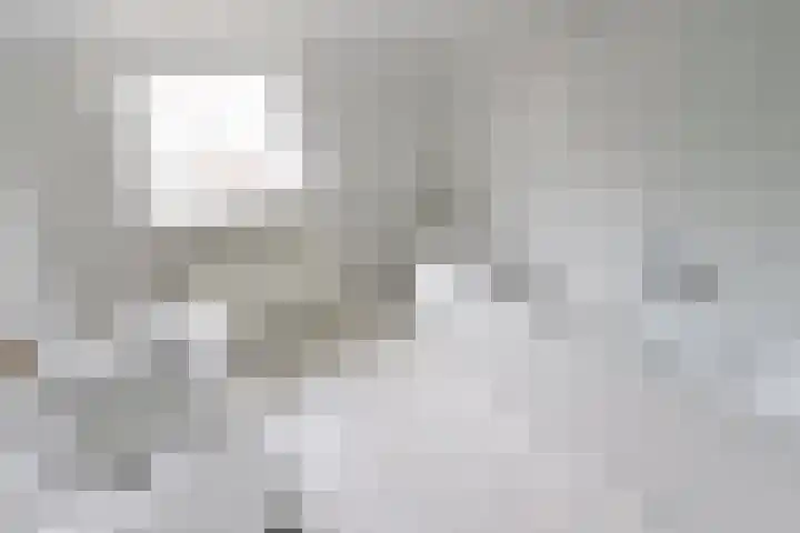 Professor Dondersstraat 9 Hilversum thumbnail 14