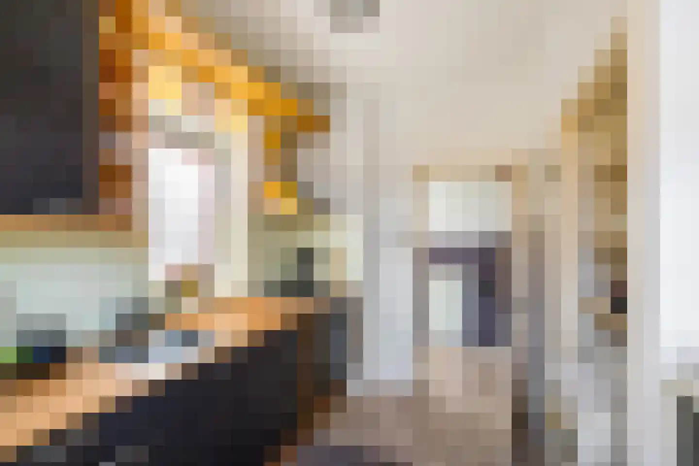 Professor Enno Dirk Wiersmastraat 1 Groningen thumbnail 11