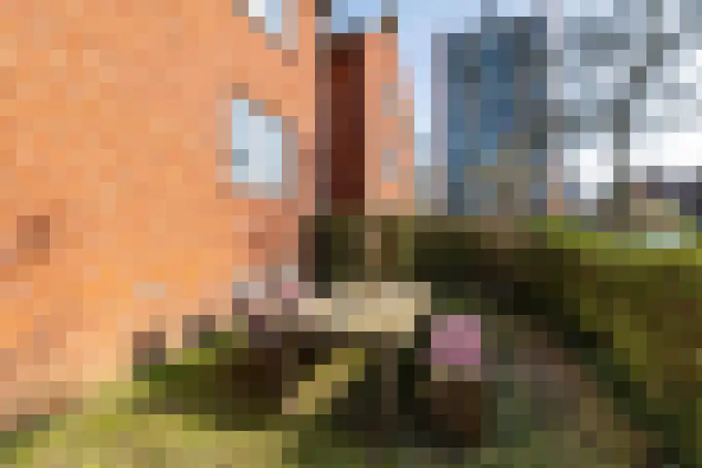 Professor Enno Dirk Wiersmastraat 1 Groningen thumbnail 21