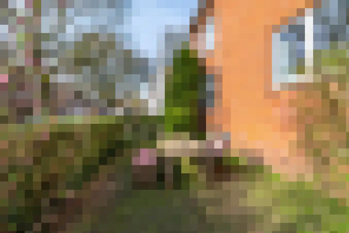 Professor Enno Dirk Wiersmastraat 1 Groningen thumbnail 22