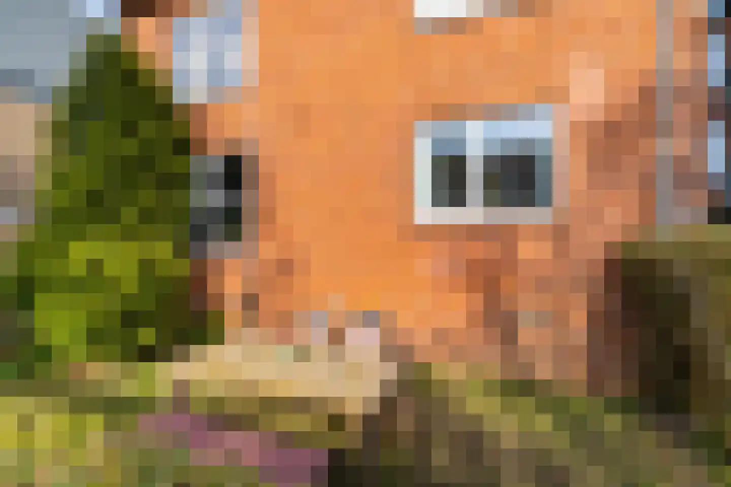 Professor Enno Dirk Wiersmastraat 1 Groningen thumbnail 23